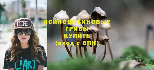 кокаин Белокуриха