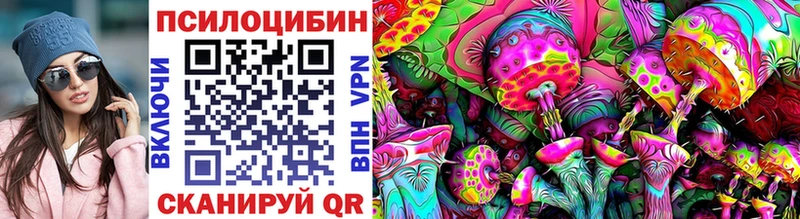 Галлюциногенные грибы MAGIC MUSHROOMS  где купить   Куровское 