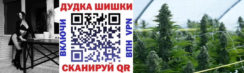 купить   Куровское  МАРИХУАНА Ganja 